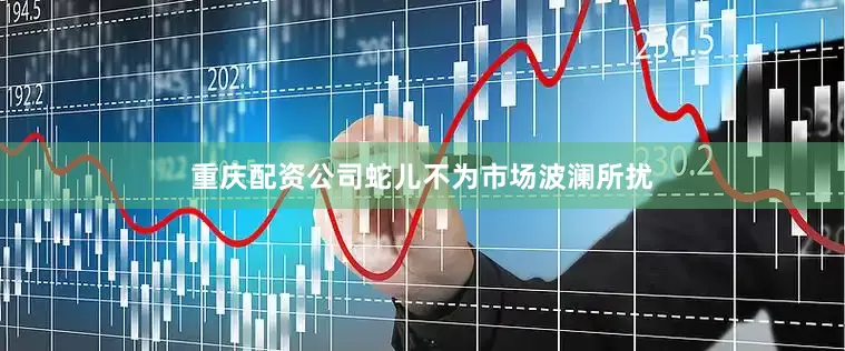 重庆配资公司蛇儿不为市场波澜所扰