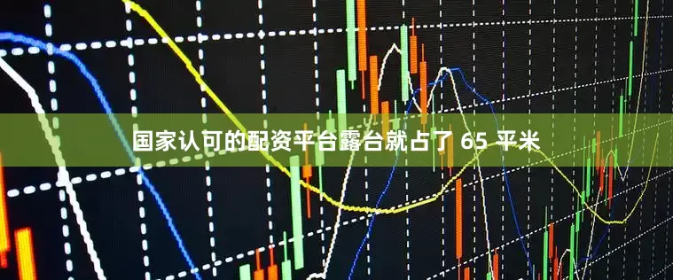 国家认可的配资平台露台就占了 65 平米
