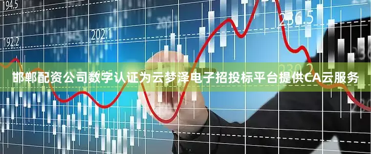 邯郸配资公司数字认证为云梦泽电子招投标平台提供CA云服务